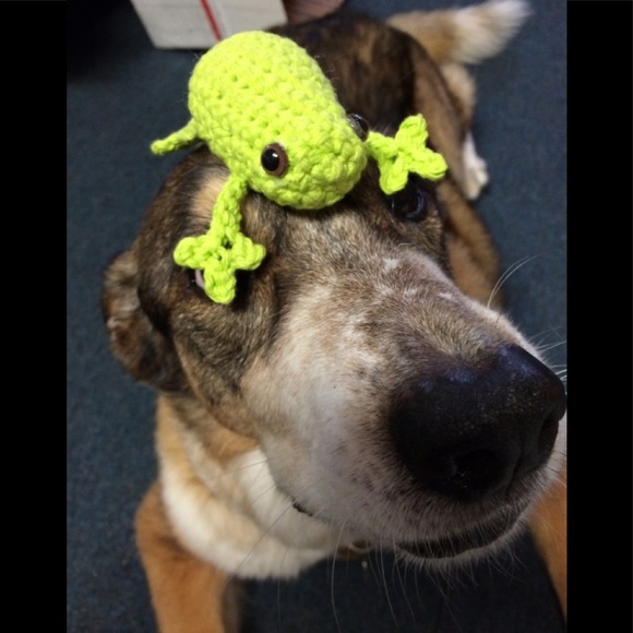 Meet your Posher, Kory - Picture 8 of 16